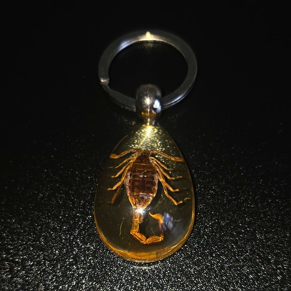 Clear Brown Resin Scorpion Animal Keychain Teardrop Pendant, Detachable Keyring